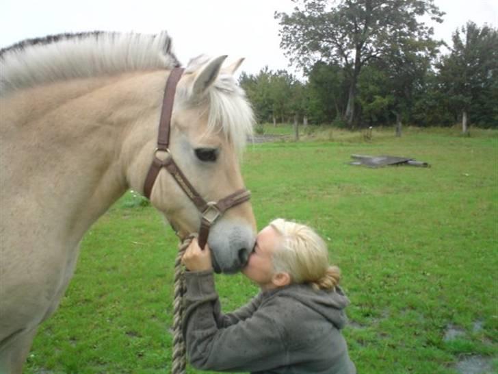 Kvinde Amanda B - møs møs til min pony ,, dengang var jeg sqg blondine billede 4
