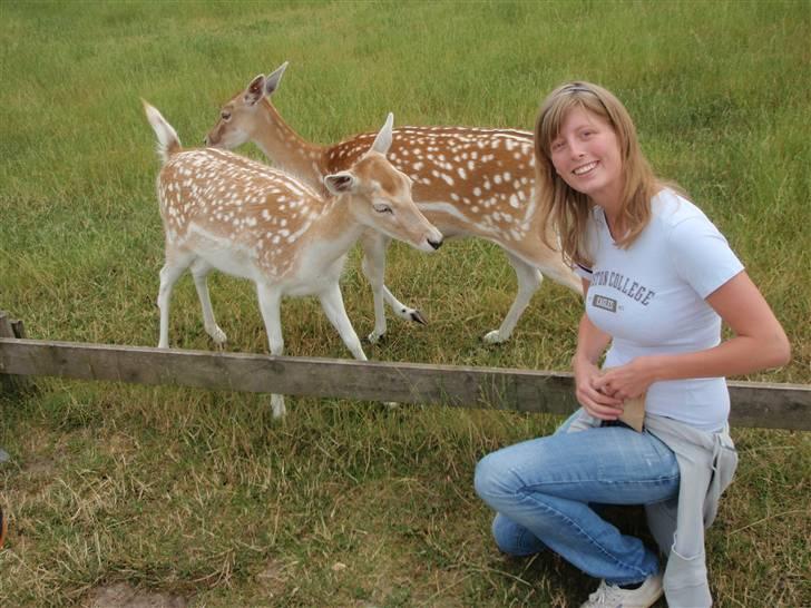 Kvinde Catja - Sommer 09 billede 3