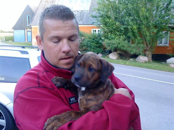 Mand Big Tasty - Sød lille hvalp. billede 4