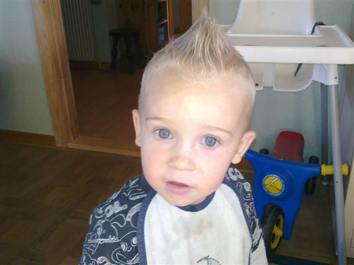 Mand Big Tasty billede 8