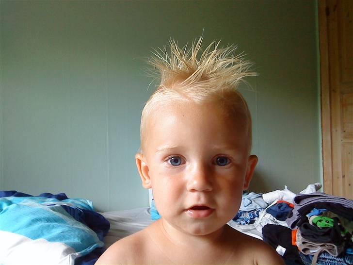 Mand Big Tasty - Det bedste jeg har gjordt i mit liv. billede 10