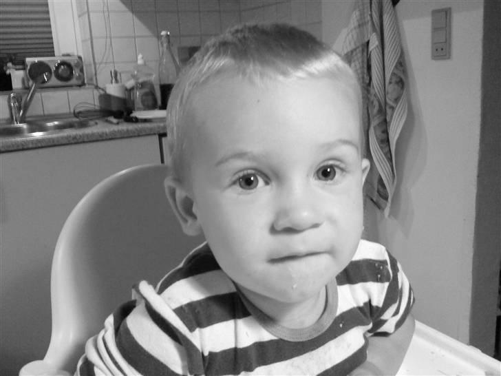 Mand Big Tasty - Min søn igen. billede 12