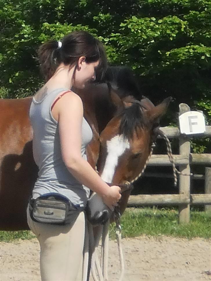 Kvinde Anna - Med min dejlige hest, Macho <3 billede 1