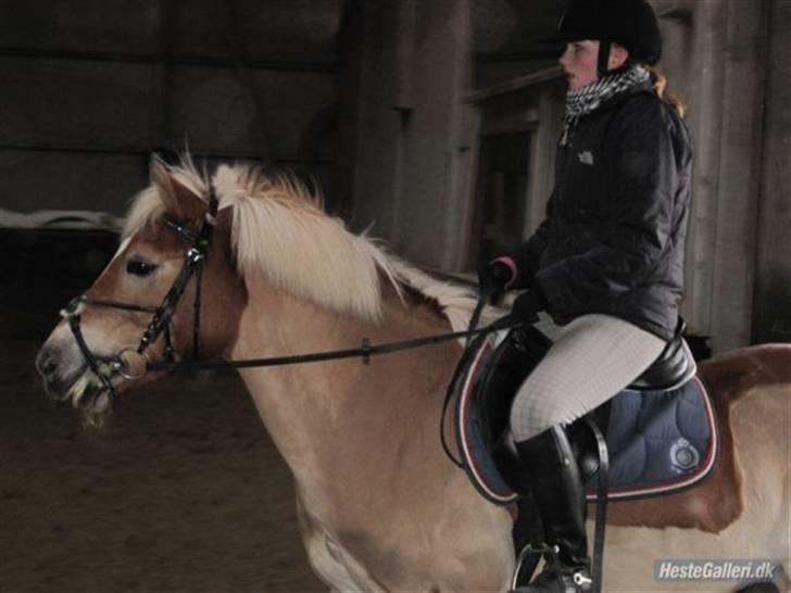 Kvinde Katrine'B billede 12