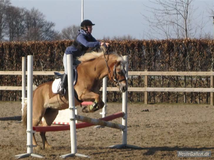 Kvinde Katrine'B billede 14