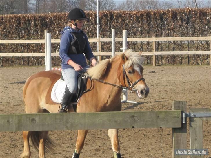 Kvinde Katrine'B billede 15