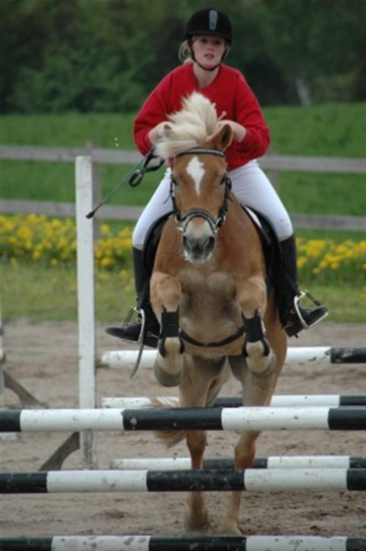 Kvinde Katrine'B billede 16