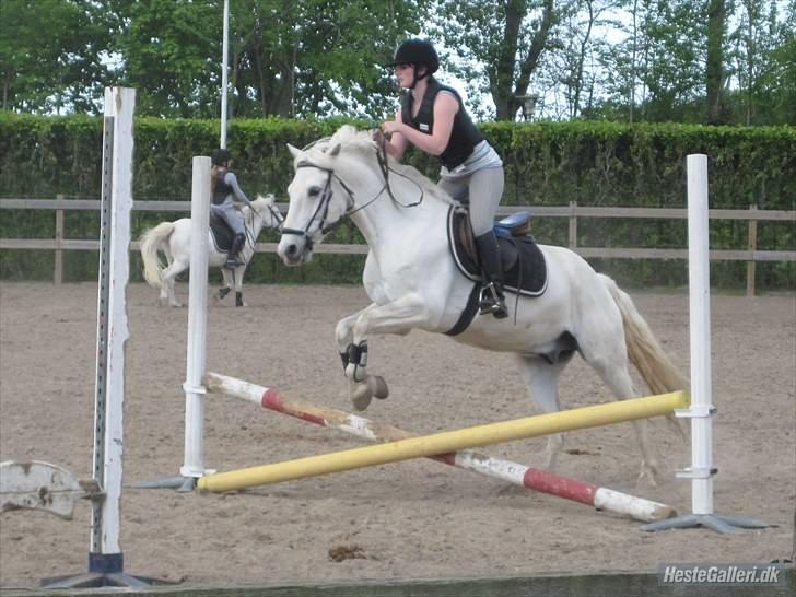 Kvinde Katrine'B billede 17