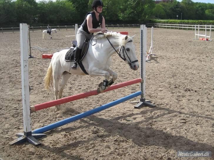 Kvinde Katrine'B billede 18