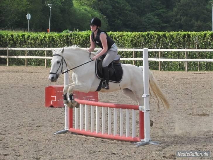 Kvinde Katrine'B billede 19