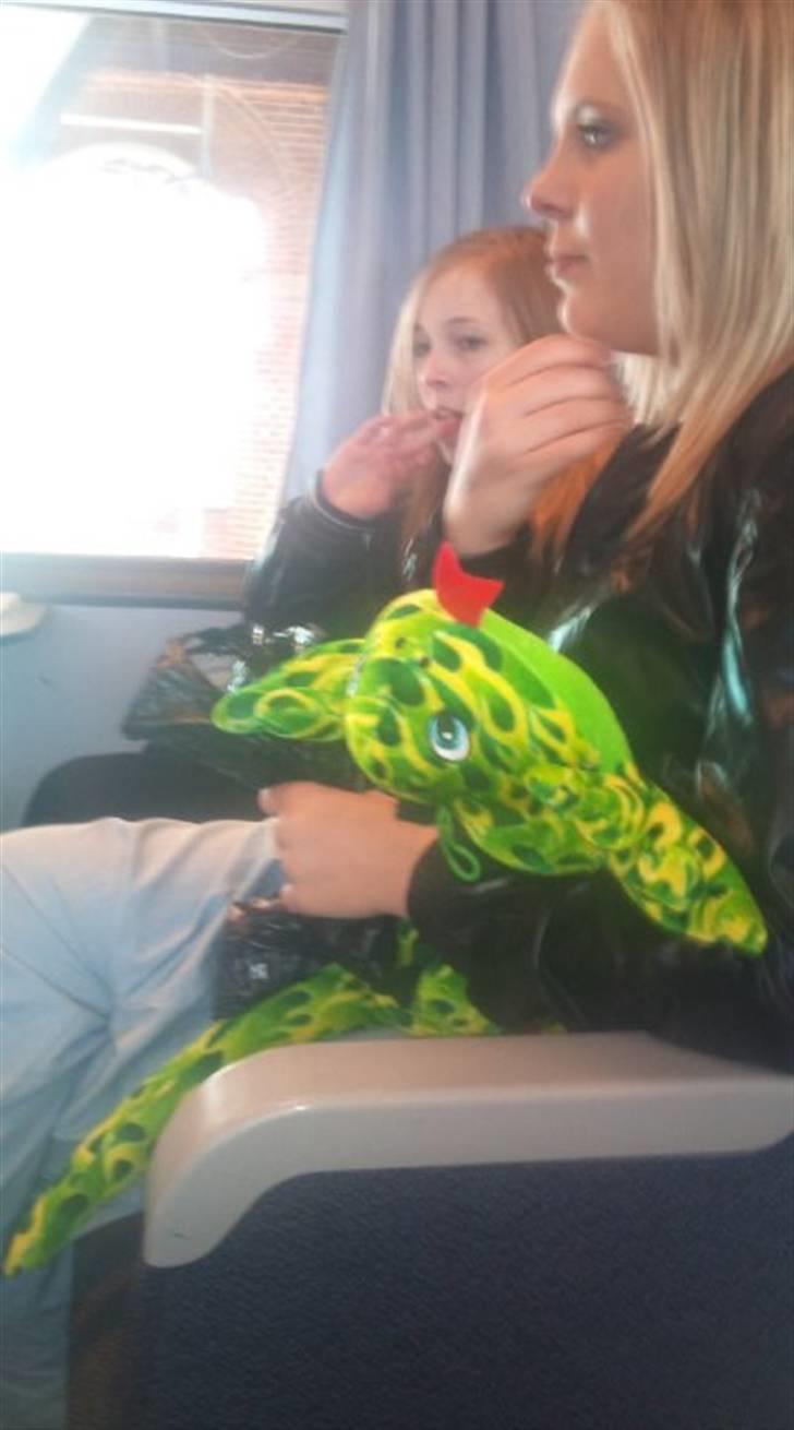 Kvinde Katrine Isaksen - På vej hjem fra en tur med alle vennerne til Aalborg xD! billede 7