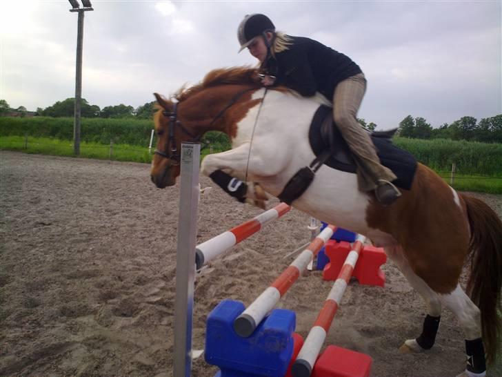 Kvinde Katrine Isaksen - Spring i Dressur sadel :S ! billede 10