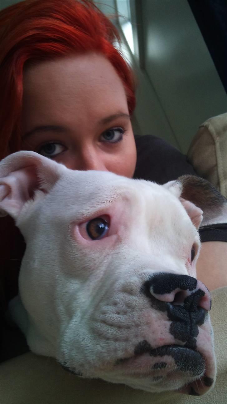 Kvinde Liine / Riina - Mig og mine dejlige hund Miini billede 1