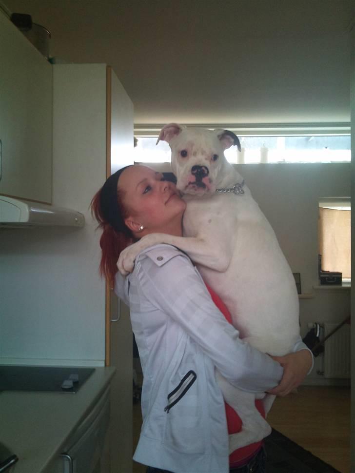 Kvinde Liine / Riina - os igen min lille "skøde" hund ;)  billede 2
