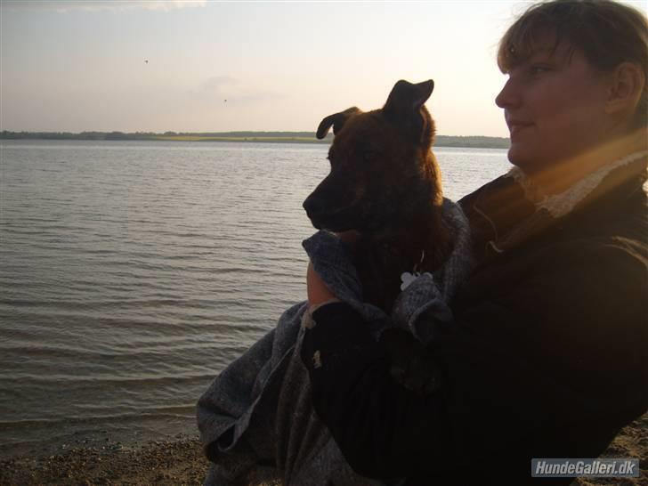 Kvinde Sjenne (skrigeskinken) - Our great request is to live life (RIP Lucky min elskede hund) billede 6