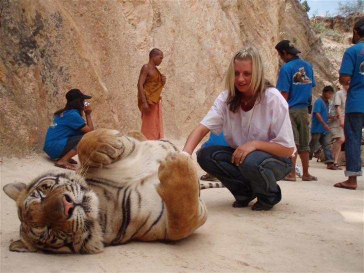 Kvinde Annika Rosenqvist - Mig & den store tiger =o) billede 15