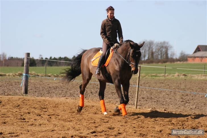 Kvinde christine billede 6