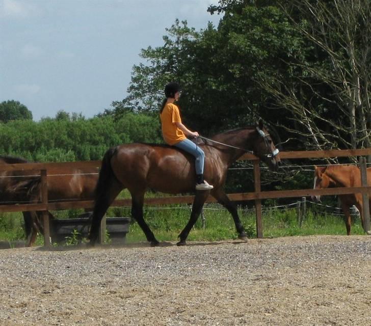 Kvinde Sofie - " Gammelt " (: billede 3