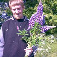 Mand bo lindy jensen