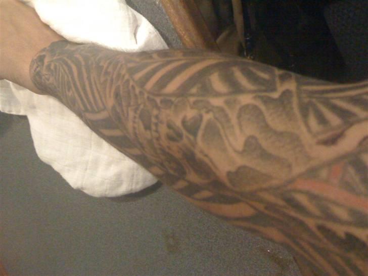 Mand Danni K - Min gamle tus, der blev rettet billede 3