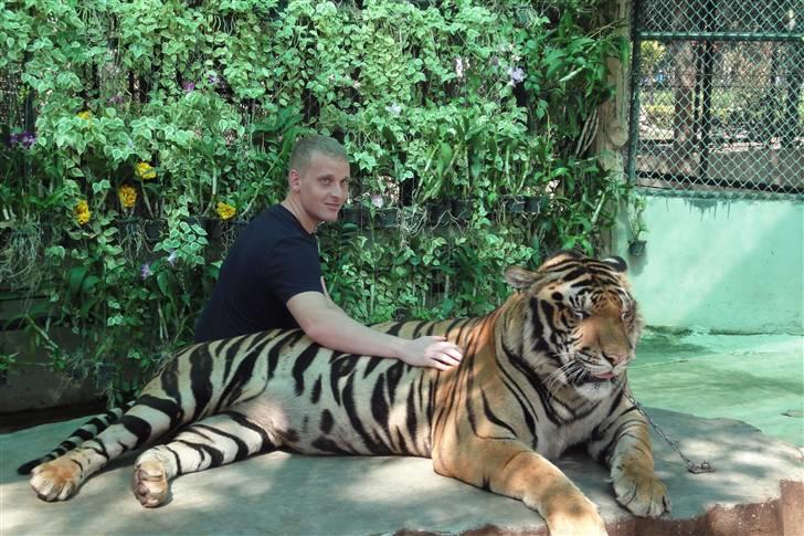 Mand Rasmus billede 2