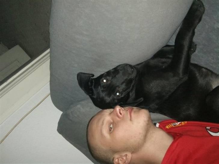 Mand Martin Petersen billede 5