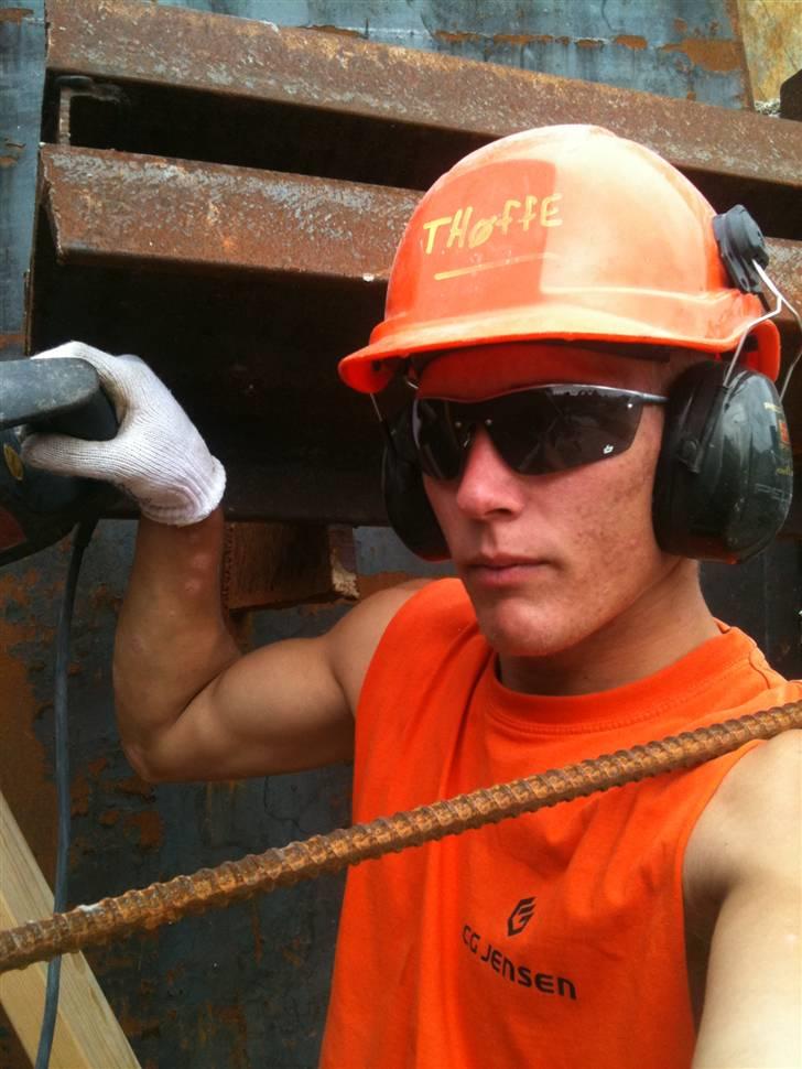 Mand Tommy billede 12