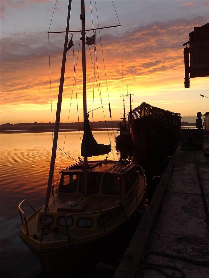 Mand torben n - det var så lige en uge sommerferie på maiager fjor,der fik vi fisket og drukket igemmen ;) billede 11