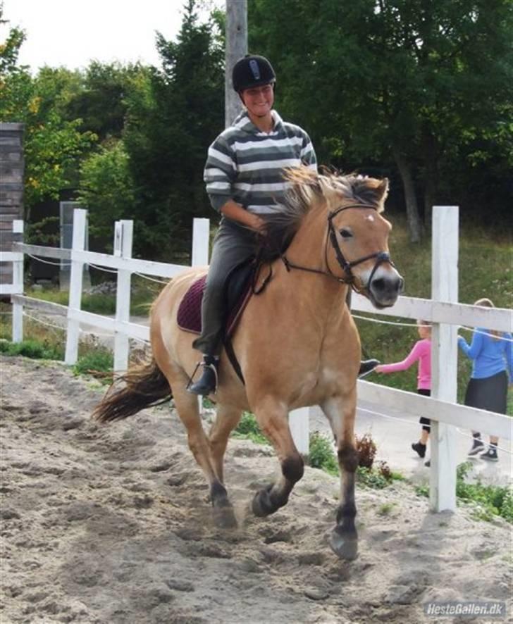 Kvinde Sjenne (skrigeskinken) - jep afsløret som hestepige billede 7