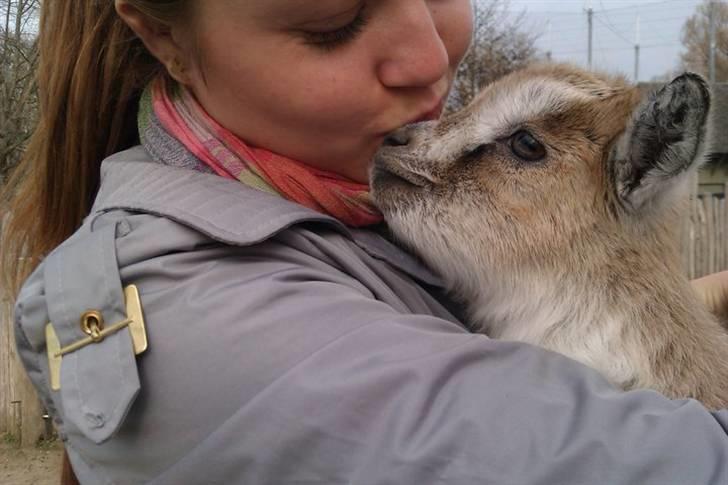 Kvinde Malaka - Ihh elsker dyr <3 billede 3