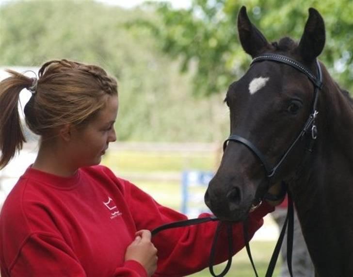 Kvinde Malaka - Blue Hors Følchampionat 2009 billede 6