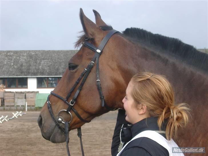 Kvinde Malaka - Min gamle hest <3 billede 11