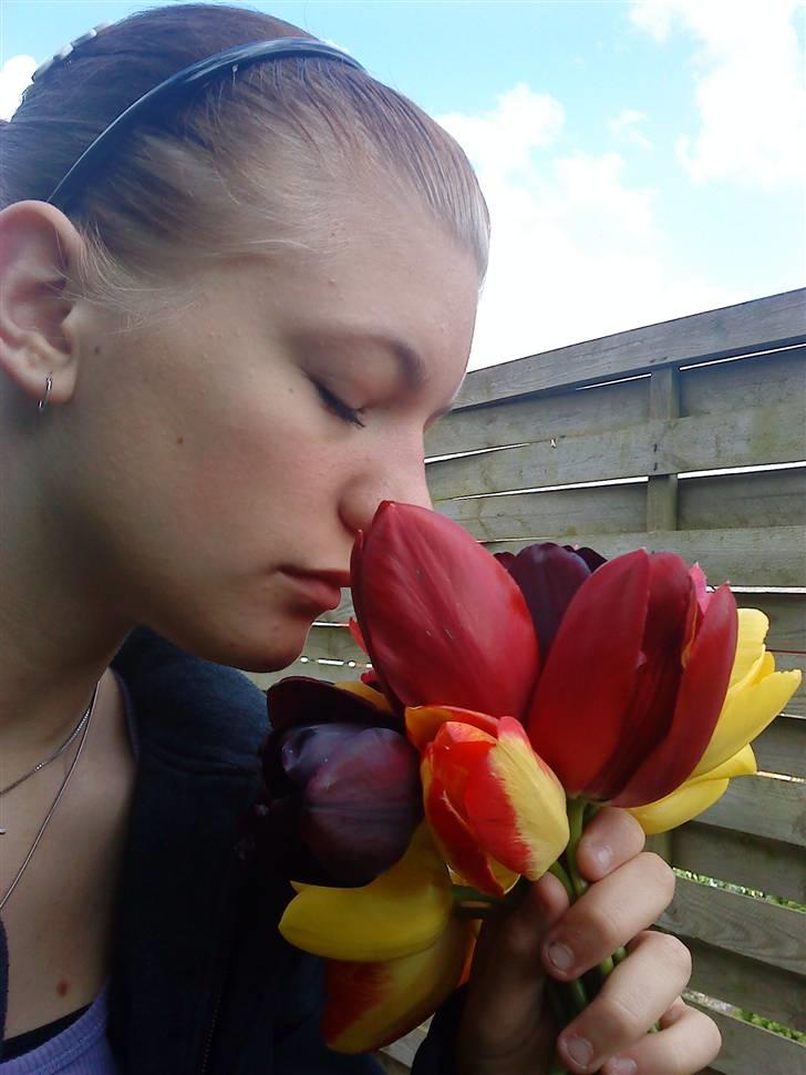 Kvinde Ann-Karina billede 10