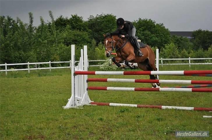 Kvinde Anna Bonde. billede 14