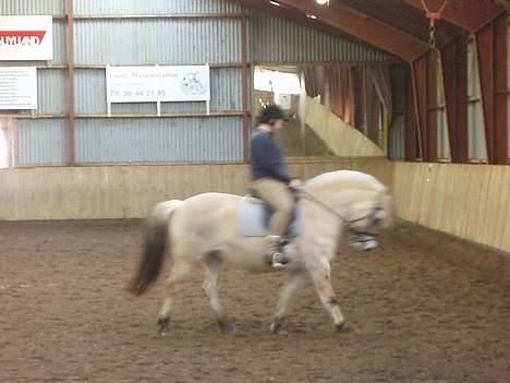 Kvinde maria - mig og min hest candis billede 5