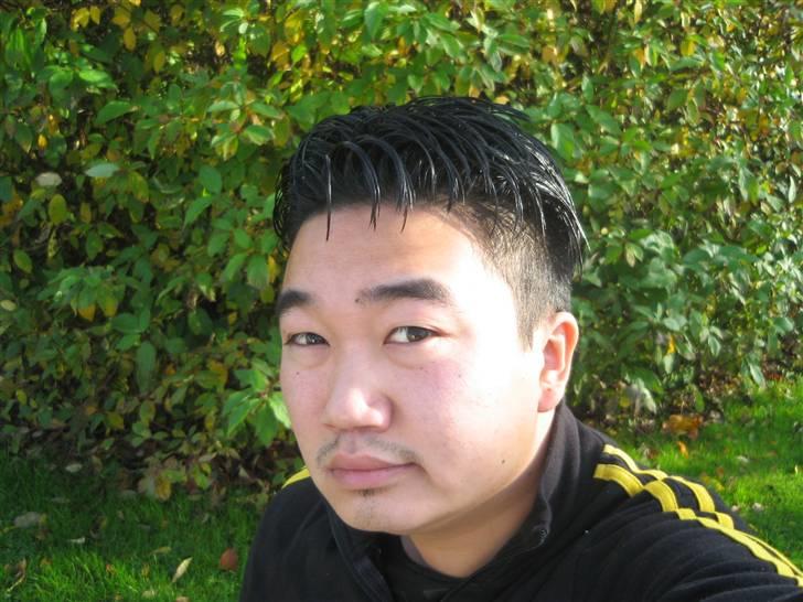 Mand Jong - Haha? billede 2