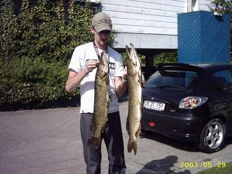 Mand JOJO aka. Joachim - Så der fisk!!!  Dette er dog ikke de største gedder jeg har fanget.... Location hemmelig i får den ikke :D Bemærk min gamle 206´er i baggrunden billede 2