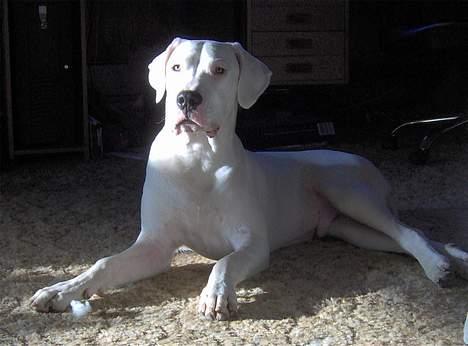 Kvinde Linda T billede 1