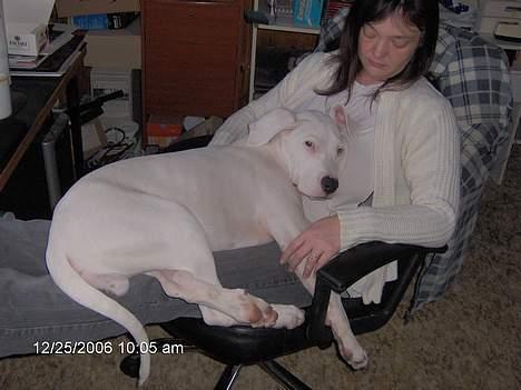 Kvinde Linda T billede 2