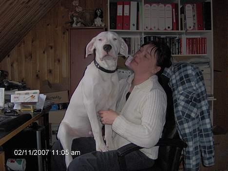 Kvinde Linda T billede 3