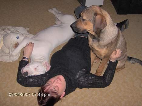 Kvinde Linda T billede 5