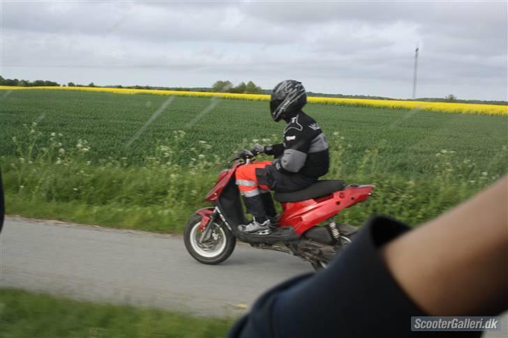 Mand Steffan Sørensen billede 1