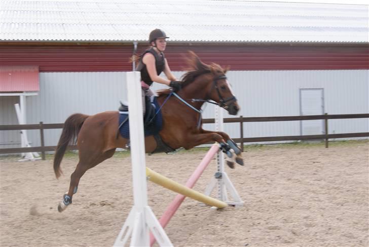 Kvinde mia - mig & min gamle pony (; (han er solgt fordi han blev for lille) billede 9