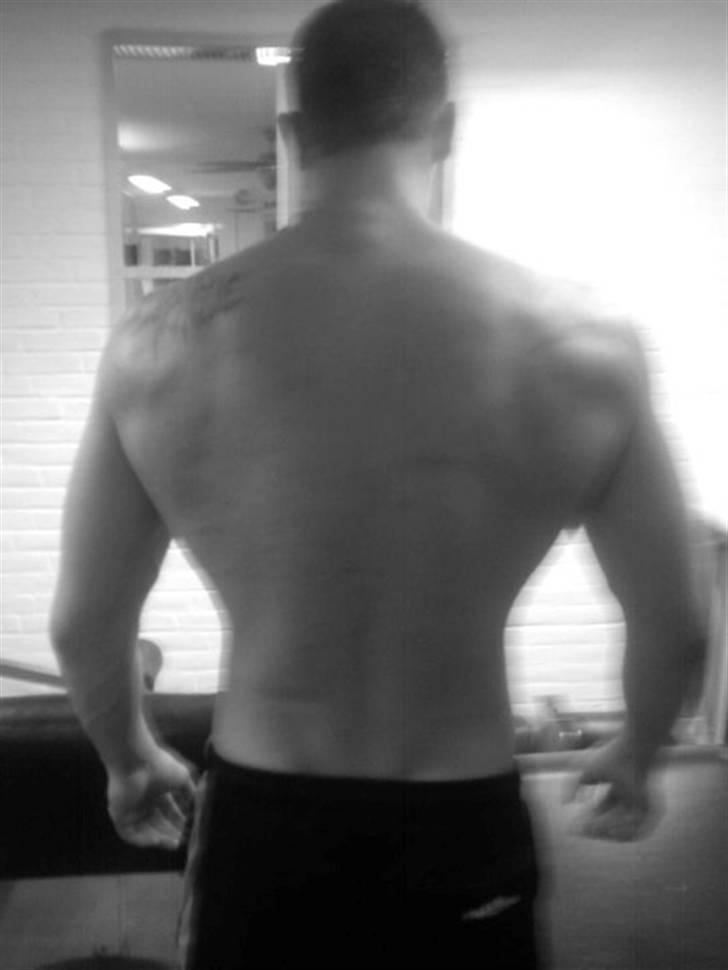 Mand Michael billede 5