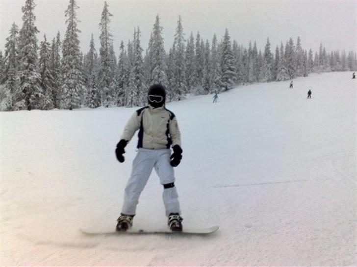 Mand Andreas Brandt Andersen billede 6