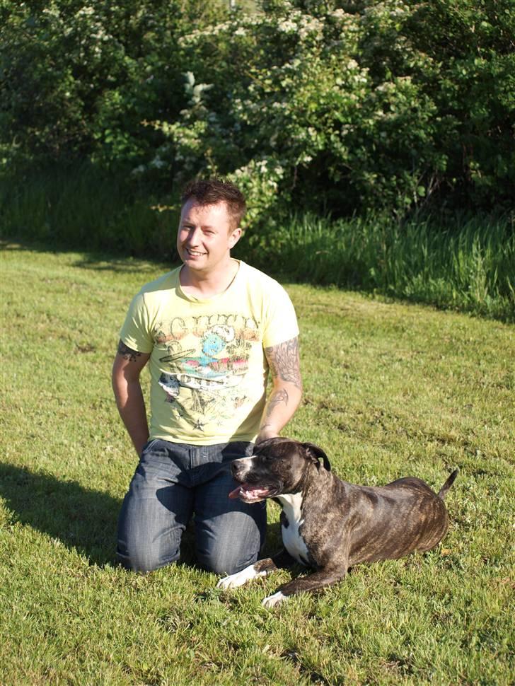 Mand speedy billede 7