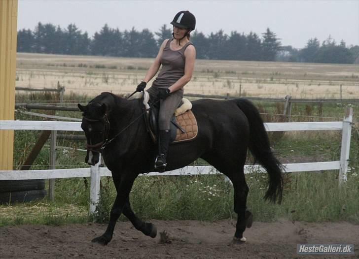 Kvinde Heidi billede 1