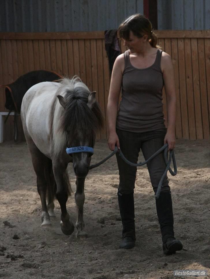 Kvinde Heidi billede 2