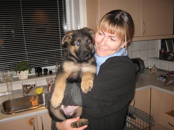 Kvinde Heidi billede 4