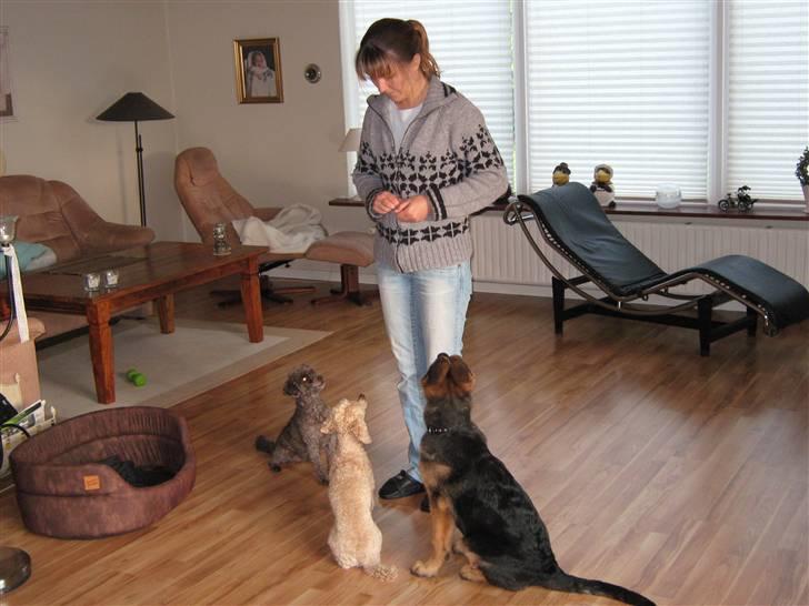 Kvinde Heidi billede 6